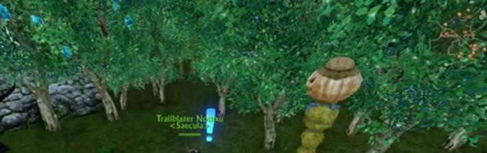 detail guide to planting rare archeage archeum trees