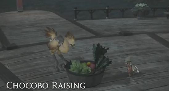 how to raise and train chocobo in ff14: arr patch 2.3