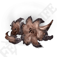 Faded Erdleaf Flower *999