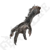 Four-Toed Fowl Foot *999