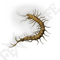 Golden Centipede *999