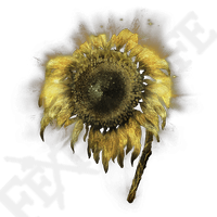 Golden Sunflower *999