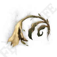 Miquella's Lily *999