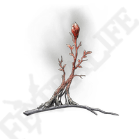 Sacramental Bud *999