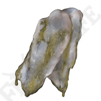 Strip Of White Flesh *999