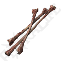 Thin Beast Bones *999