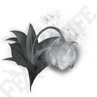 Great Grave Glovewort *999