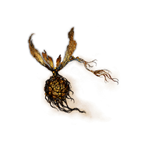 Winter-Lantern Fly *999