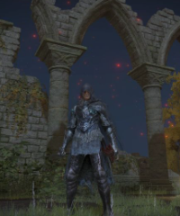 Black Knife Assassin build