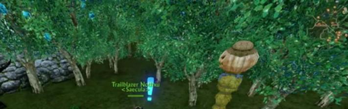 detail guide to planting rare archeage archeum trees