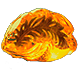 Enchanted Fossil