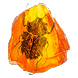 Encrusted Fossil