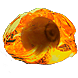 Hollow Fossil