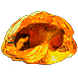 Serrated Fossil