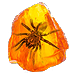 Shuddering Fossil